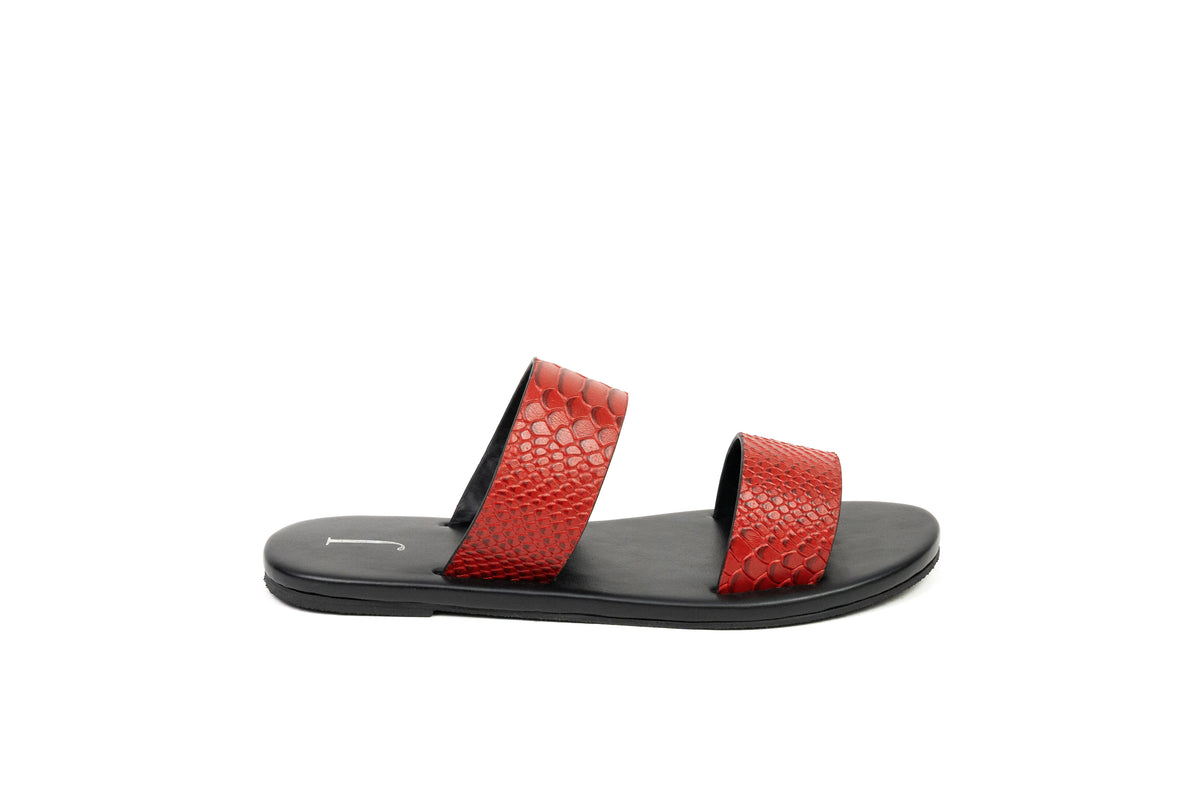 SLIDER CROCO