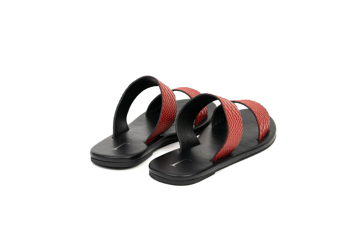 SLIDER CROCO