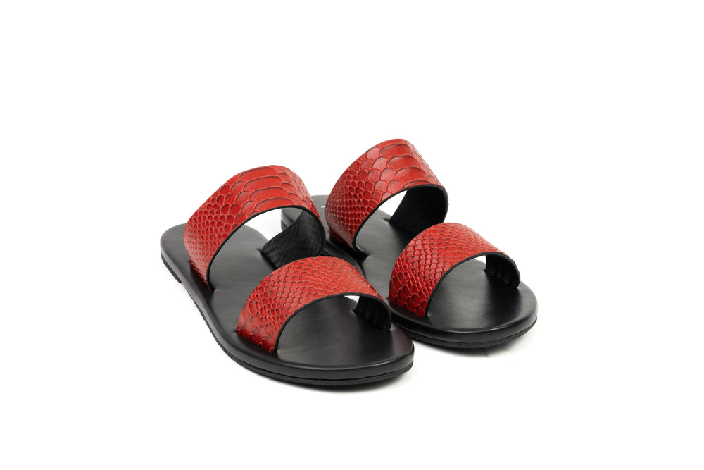 SLIDER CROCO