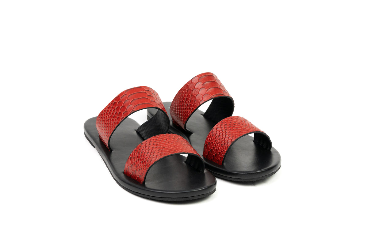 SLIDER CROCO