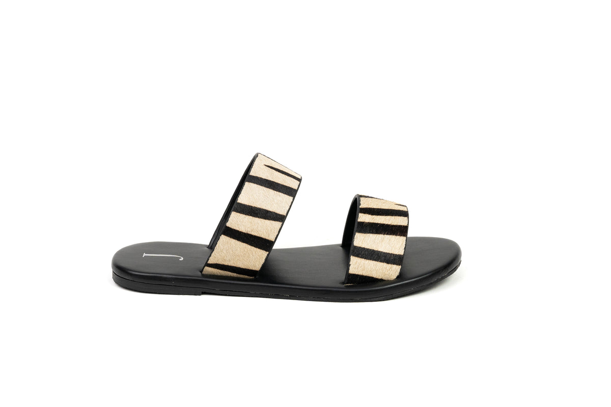 SLIDER ZEBRA
